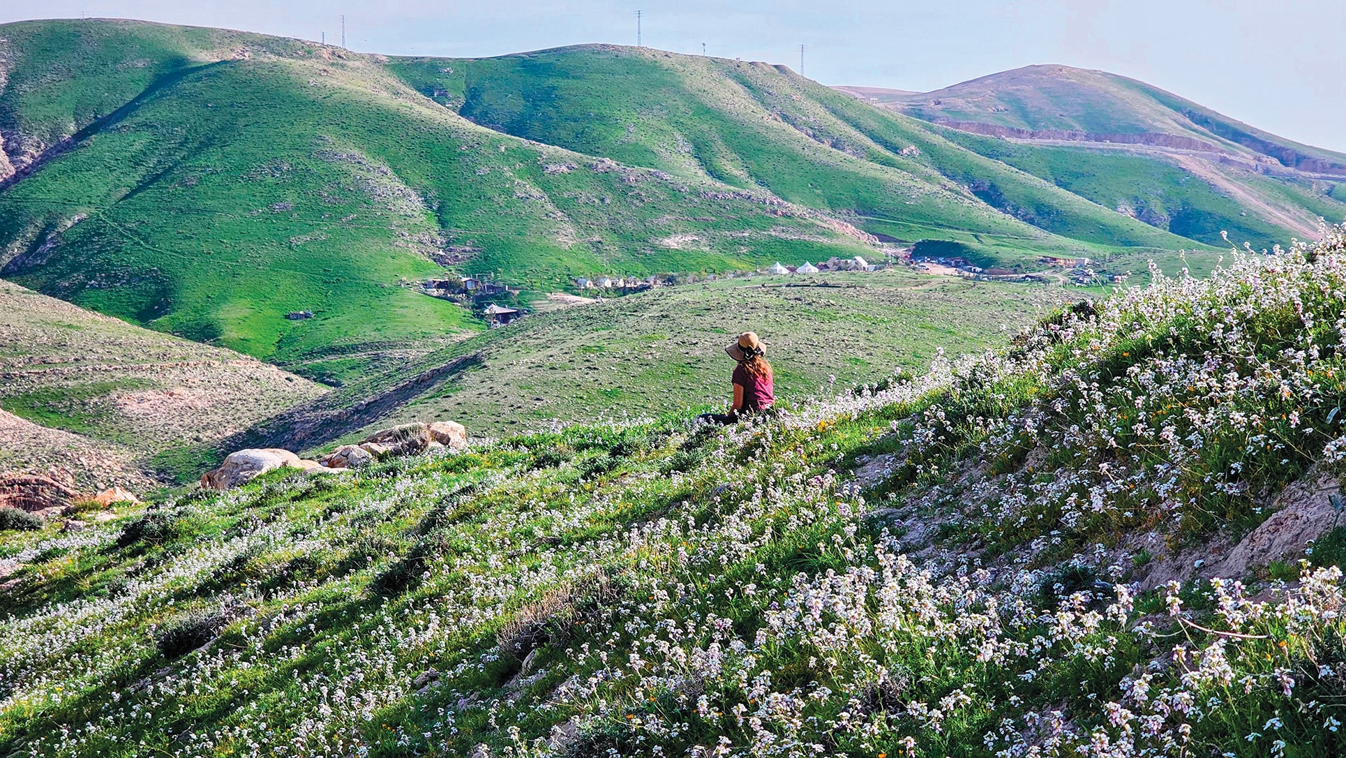 A Judean Desert carpet of spring wildflowers. (photo credit: NOAM BEDEIN)