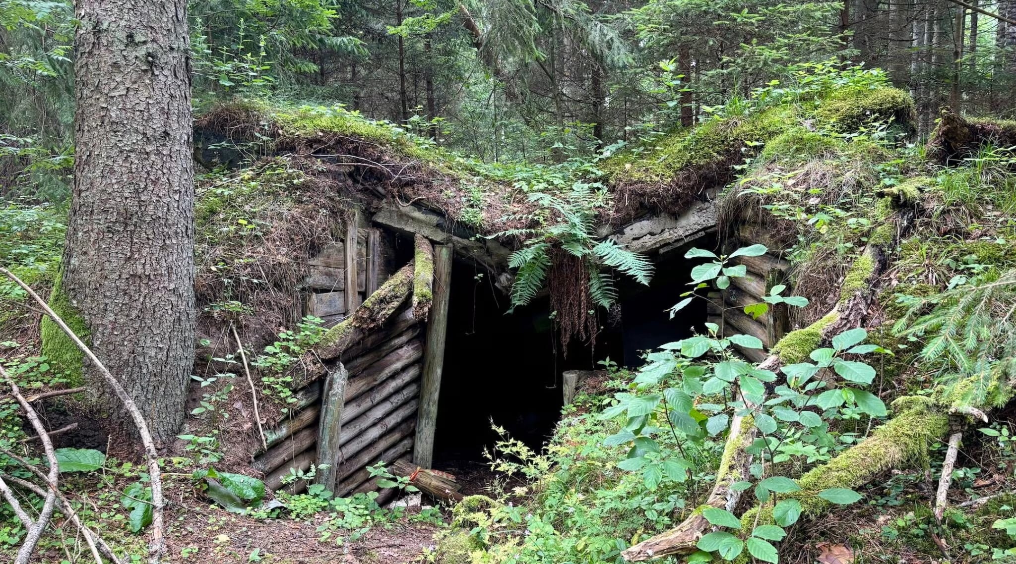 Lithuania's Jewish partisan bunkers caught between Holocaust memory and military expansion