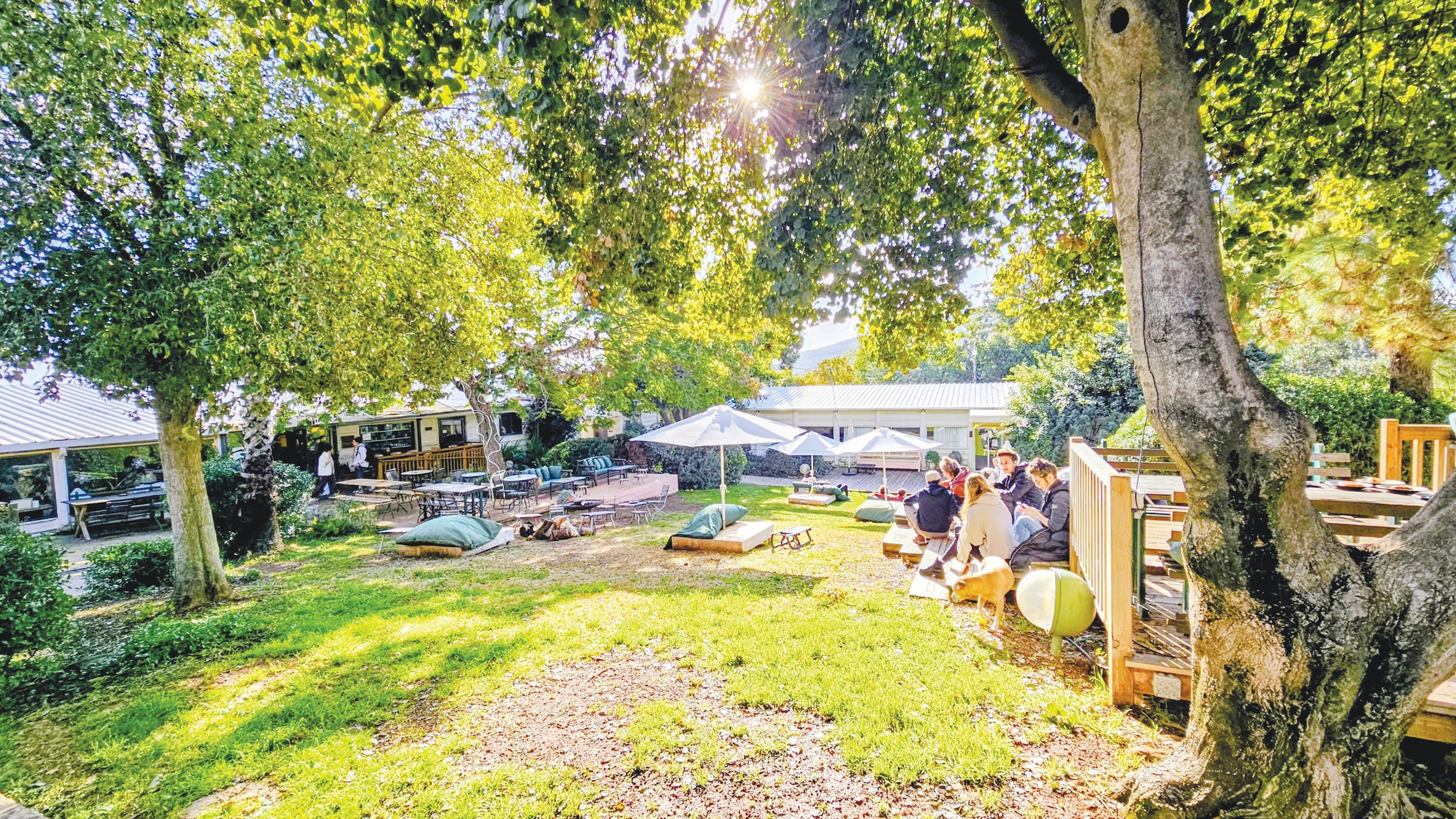 Young adults sit beside winter umbrellas on the forest-side deck at Slowness, soaking in the quiet, pastoral atmosphere as soft sunlight filters through the trees. (photo credit: NOAM BEDEIN)