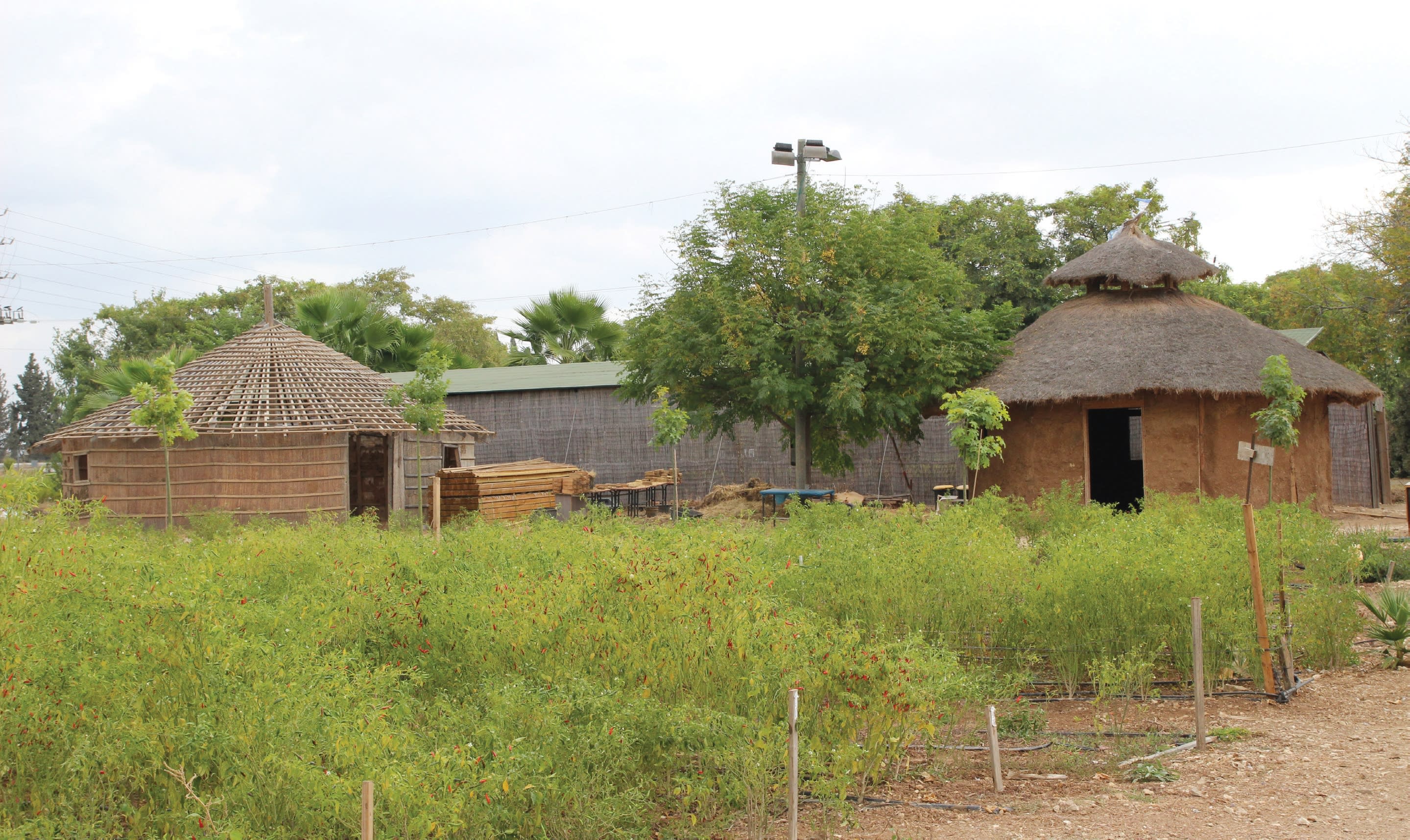Rediscovering values in the village