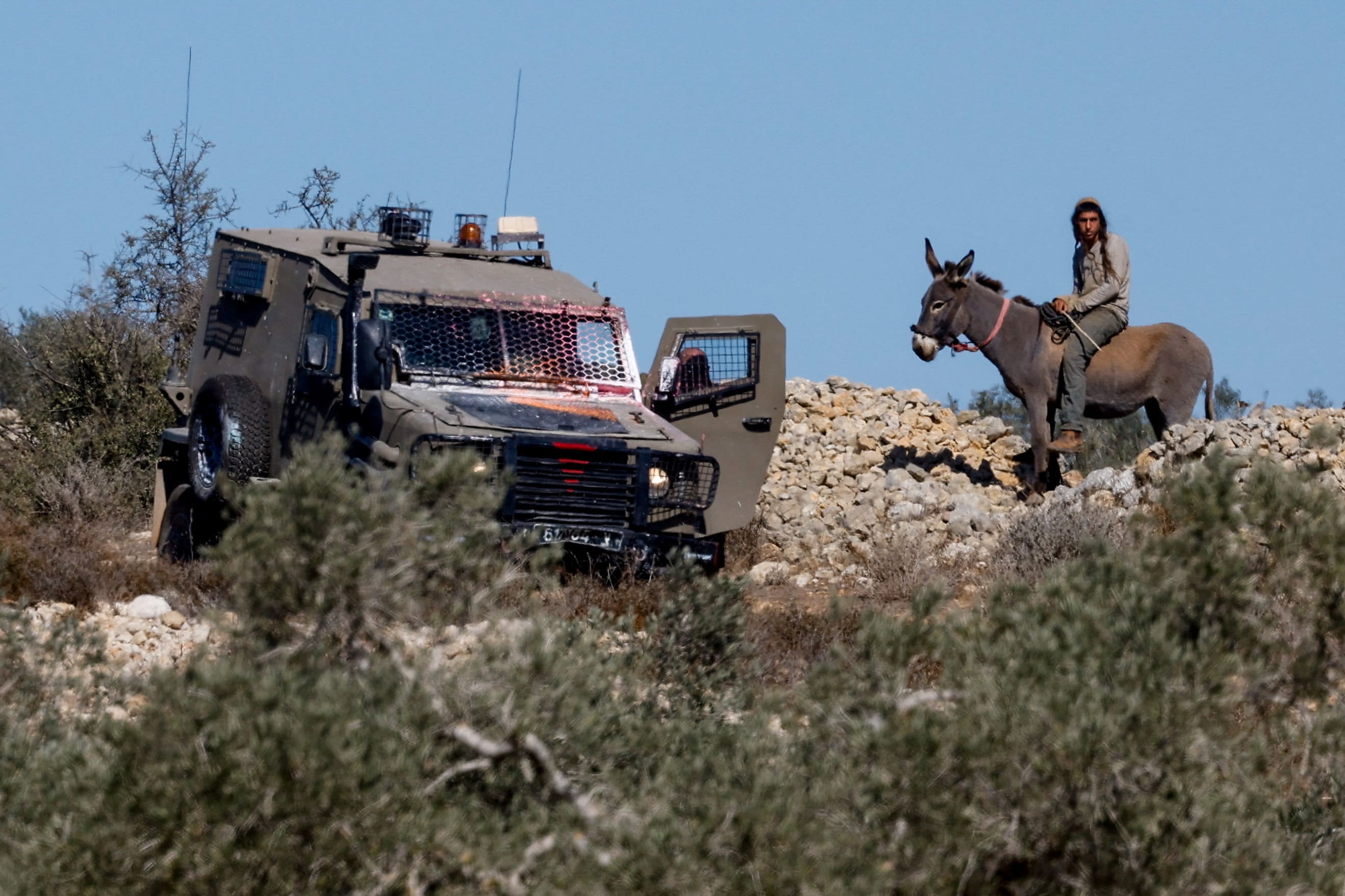 An Israeli settler rides a donkey near an Israeli vehicle, during olive harvesting in Silwad, near Ramallah, in the West Bank, October 29, 2025. (photo credit: MOHAMAD TOROKMAN/REUTERS) An Israeli settler rides a donkey near an Israeli vehicle, during olive harvesting in Silwad, near Ramallah, in the West Bank, October 29, 2025. (photo credit: MOHAMAD TOROKMAN/REUTERS)