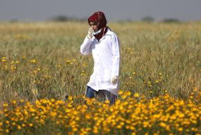 Female Palestinian medic Razan Al-Najar works at the scene of clashes at Israel-Gaza border, in the southern Gaza Strip April 1, 2018