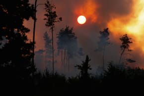  The sun is seen as smoke rises from a wildfire burning during a heatwave, in Gohrischheide near Zeithain, Germany, July 3, 2025. 