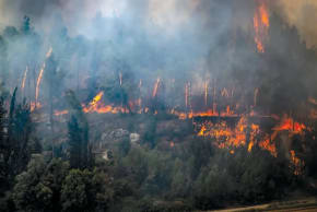 Incendio forestal en Israel. 