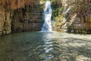 David Stream, Ein Gedi Nature Reserve.