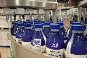 The “New Milk” series from Gad Dairies and Remilk