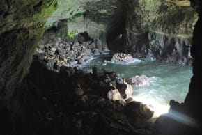 Inside Sea Lion Caves, Oregon, February 10, 2026.