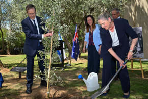  Israel's President Isaac Herzog and the First Lady Michal Herzog plant an olive tree in the gardens at the Embassy of Israel on February 11, 2026 in Canberra, Australia. 
