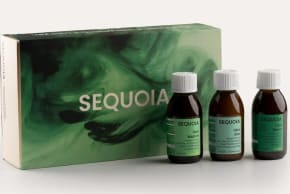 Back to RESET by Sequoia
