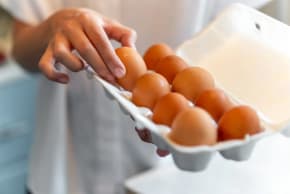 Choosing free-range eggs is mainly a matter of animal welfare and environmental sustainability