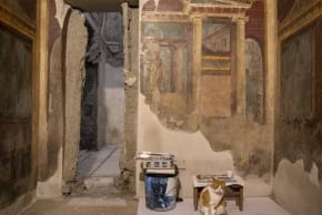 Se ve un gato durante los trabajos de excavación y restauración que se están llevando a cabo en los excepcionales frescos de la Sala de la Máscara y el Pavo Real, una de las estancias más refinadas de la Villa de Poppea en Oplontis, Torre Annunziata, Italia, el 12 de febrero de 2026. 