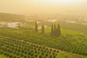 A GENERAL view of the Sharon region under heavy haze, February 14, 2026.
