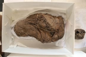 The remains of one of the four children found by archeologists, buried in the Inca sanctuary of Pachacamac, in the coastal desert strip 30 km south of Lima. Picture taken on November 9, 2010.