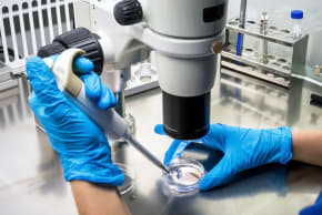 It is possible to completely get rid of the virus