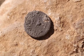 Rare half-shekel coin discovered in Judean Desert by the Israel Antiquities Authority, February 26, 2026.