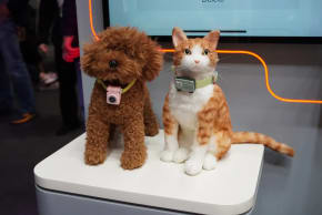 The first "smartphone" for pets unveiled in Barcelona