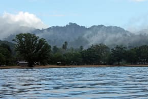 Coastline of the Solomon Islands.