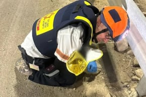 El paramédico de Magen David Adom, Elad Pas, protege a un bebé recién nacido durante una alerta de misil.