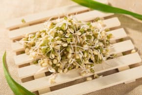 Sprouts