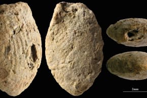 A butterfly clay bead from the Final Natufian period in Eynan-Mallaha, Hula Valley, colored red with ochre and marked with the fingerprints of an approximately 10-year-old child, March 18, 2026.