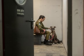 An IDF soldier and her dog take refuge in a bomb shelter in Israel. March 18, 2026.