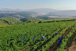 Binyamina Winery