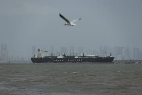 A bird flies near the Jag Vasant vessel transferring LPG at a port after transiting the Strait of Hormuz amid supply disruptions linked to the U.S-Israeli conflict with Iran, in Mumbai, India, April 1, 2026. 