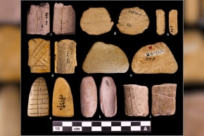A series of Native American dice discovered at archaeological sites in the western US, April 9, 2026.