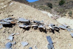 Dozens of large and small stone flakes and production waste found at the  Jojosi excavation site in eastern South Africa, April 11, 2026.