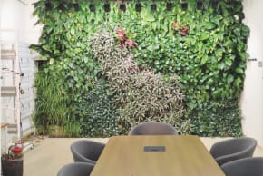 THE VERTICAL green walls are transferred from decorative features into intelligent, responsive environmental systems
