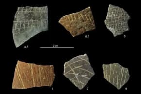Cáscaras de huevo de avestruz de hace 60 000 años. 