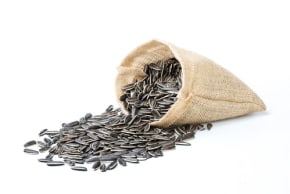 Sunflower seeds