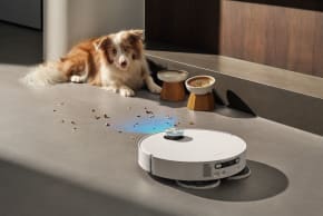 “An AI-powered robot vacuum that makes home cleaning effortless.”