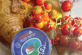 White cheese and tomatoes 
