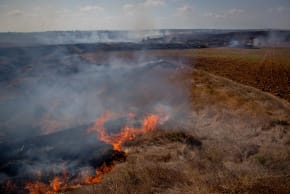A VIEW OF a brush fire near Be’eri that was ignited by kites flown by Palestinians, near the border with the Gaza Strip, in 2020.