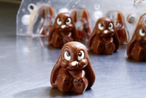 Chocolate in the shape of rabbits.