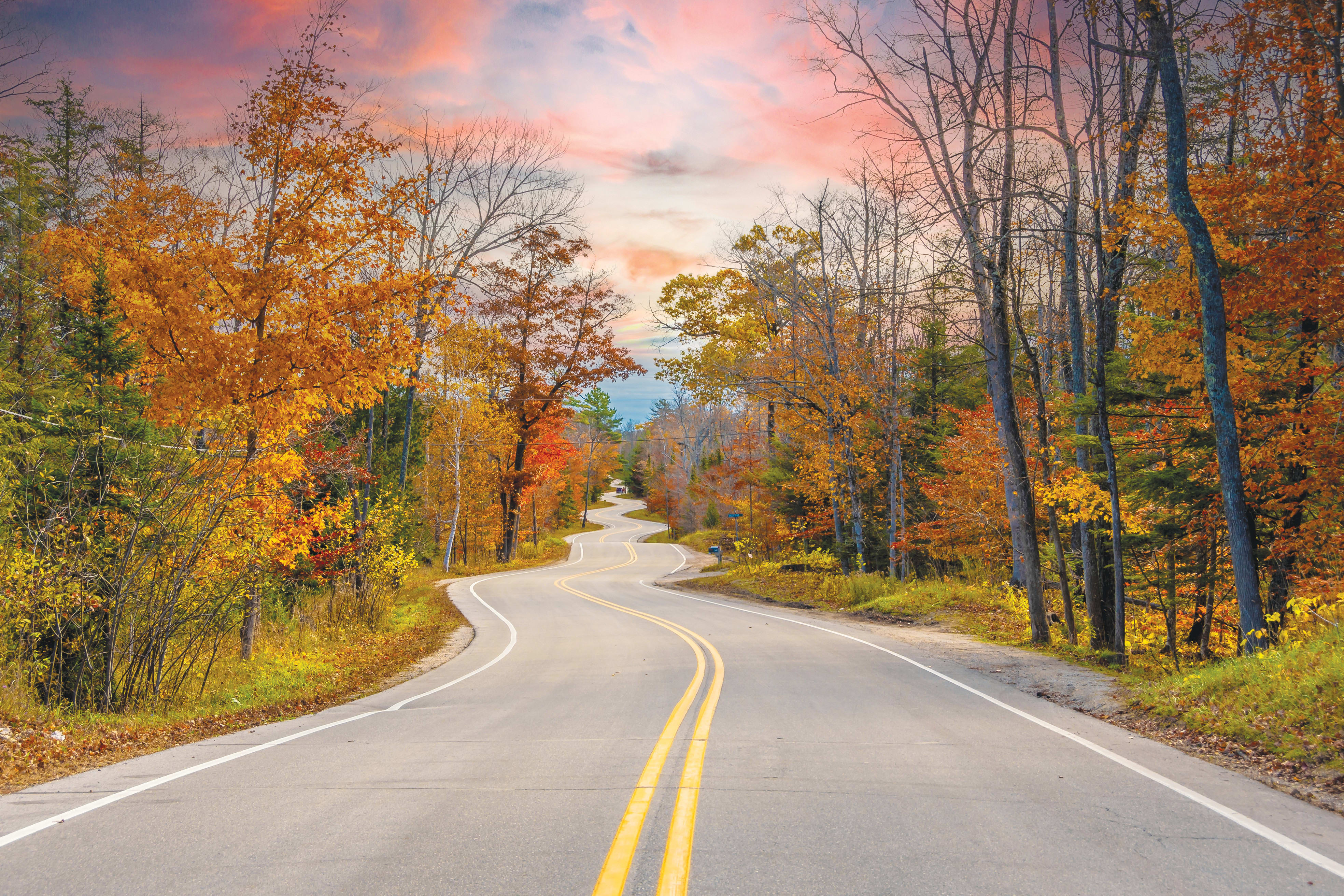 From Terah to today: The many roads that lead Jews home