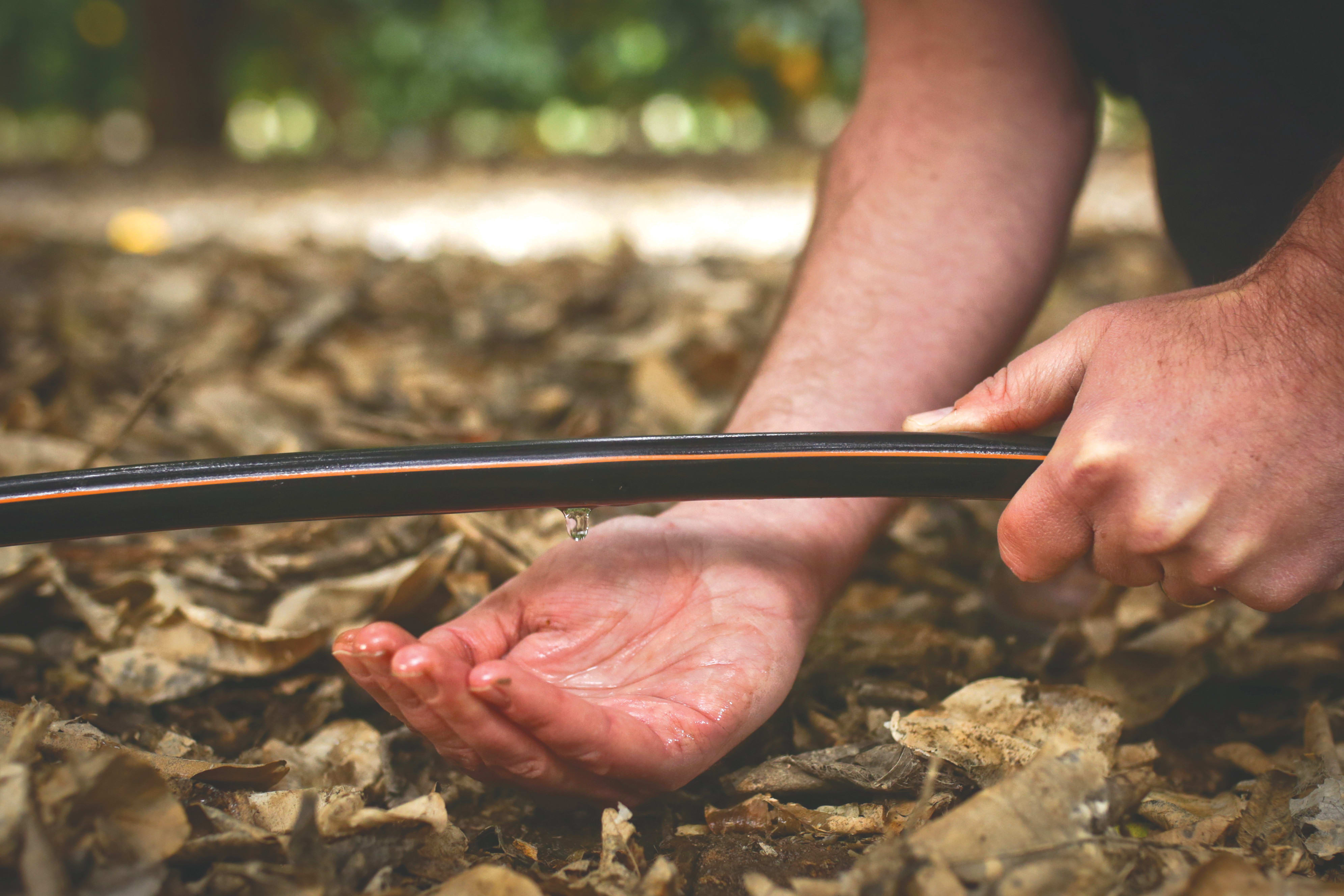  NETAFIM ARE leaders in drip irrigation systems (photo credit: NETAFIM)
