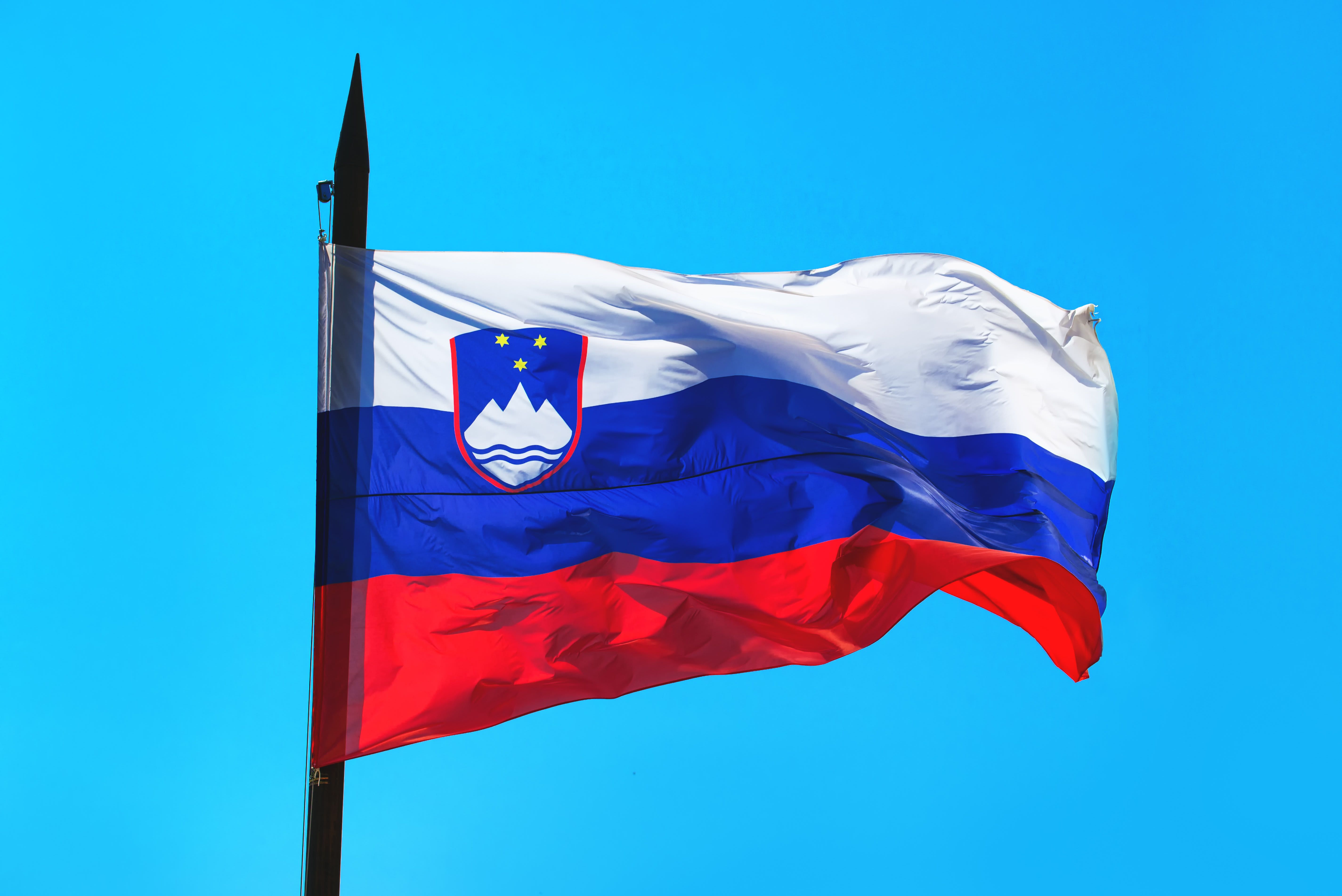 Slovenian flag; illustrative. (photo credit: SHUTTERSTOCK)