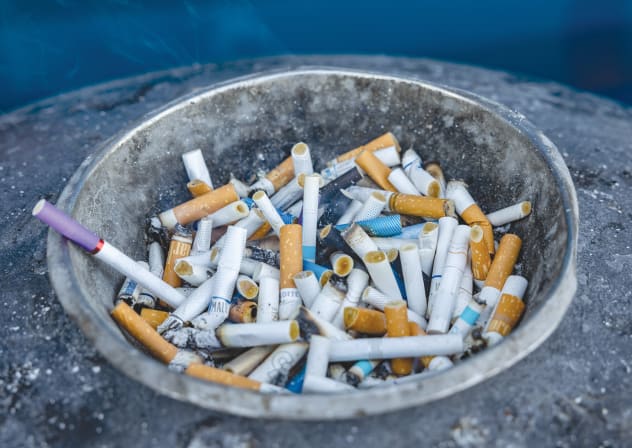 Discarded cigarettes; Illustrative.