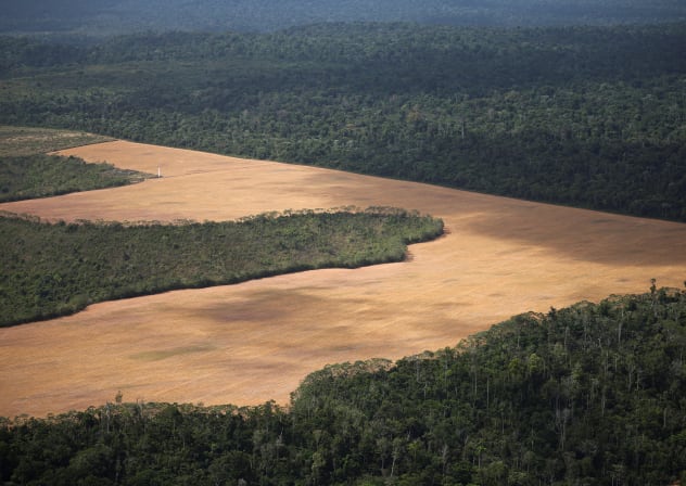 An aerial view shows a plantation field in the Amazon rainforest during a Greenpeace flyover amid the UN Climate Change Conference (COP30), near Centro Novo, state of Maranhao, Brazil, November 13, 2025.