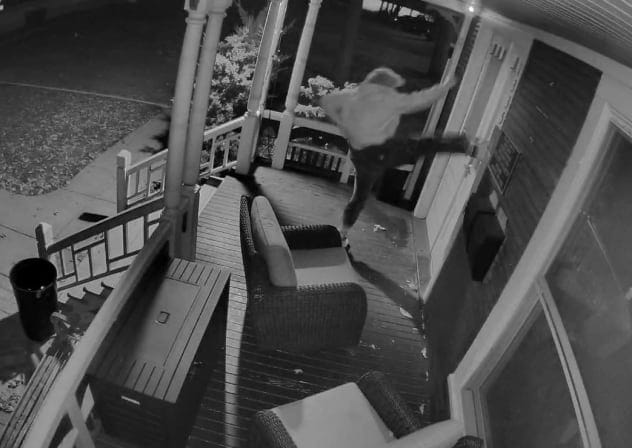 Ann Arbor antisemitic act caught on camera at the University of Michigan.