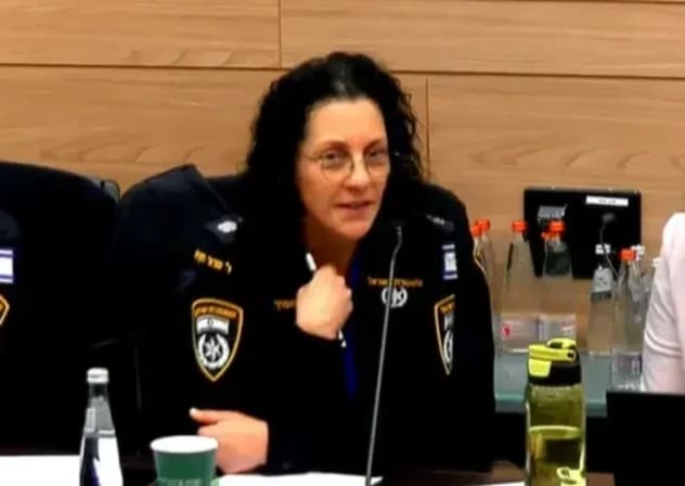 Senior Israel Police officer Ruti Hauslich, addressing a Knesset panel.