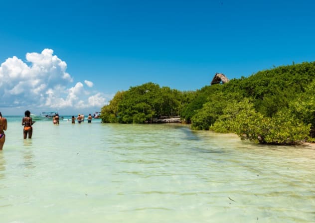 Isla Pasión, Mexico.