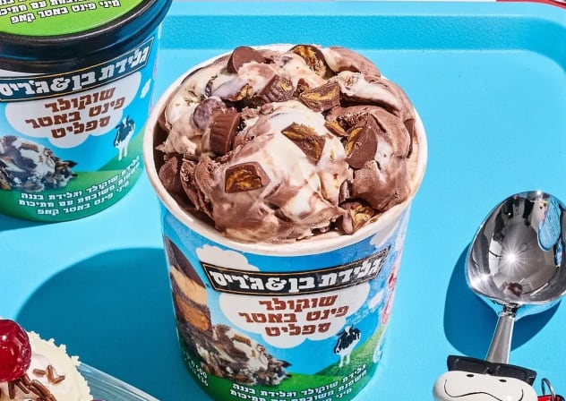 Chocolate Peanut Butter Split Ice Cream, Ben & Jerry’s
