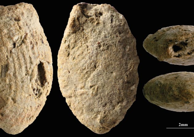 A butterfly clay bead from the Final Natufian period in Eynan-Mallaha, Hula Valley, colored red with ochre and marked with the fingerprints of an approximately 10-year-old child, March 18, 2026.