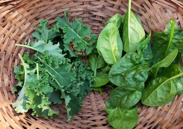 Fresh spinach and kale