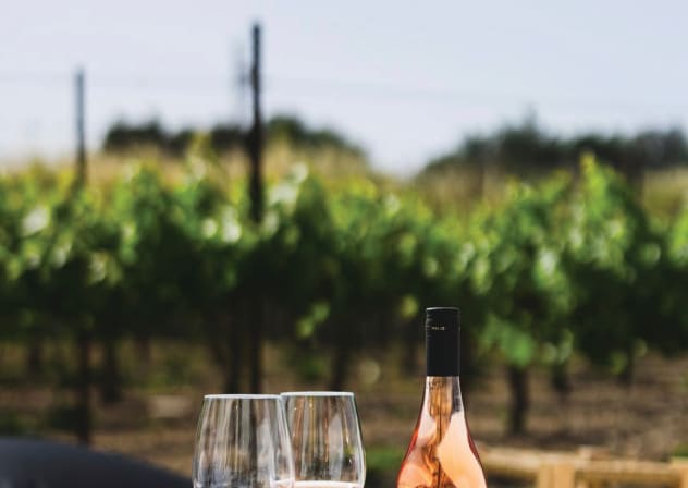 LIGHT MEAL with a light wine: Rose is always a good option.
