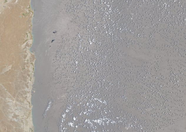 A satellite image of side-by-side ships at sea, off the coast of Fujairah, United Arab Emirates, June 6, 2026. 