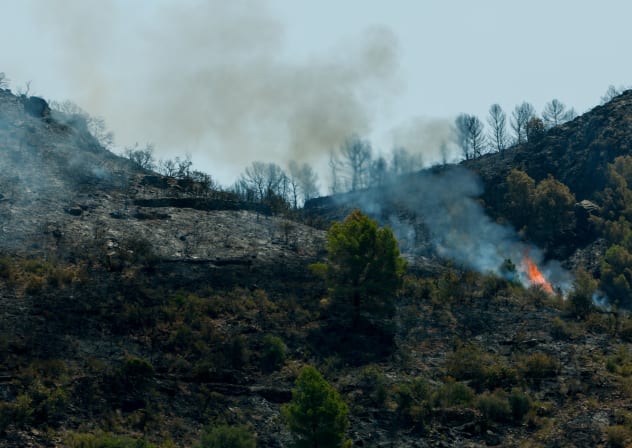 Smoke rises during a wildfire near Azuebar, Spain July 6, 2026. 